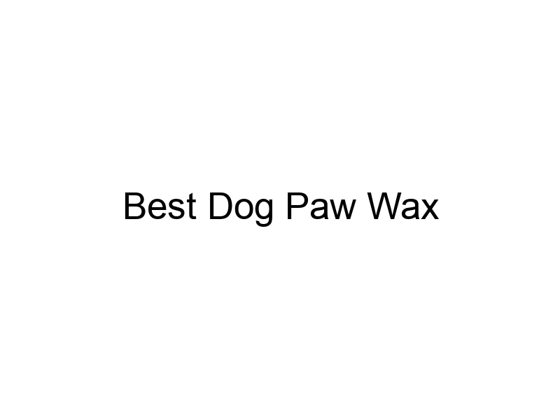 Best Dog Paw Wax » Ethatria